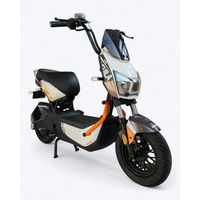 Motoeléctrica Roadmaster Águila $3.139.900