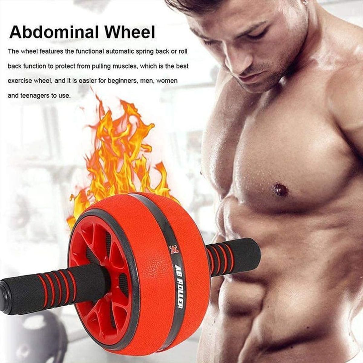 SKY - Rueda Abdominal Rodillo Grueso Tipo Barril Gym + Tapete