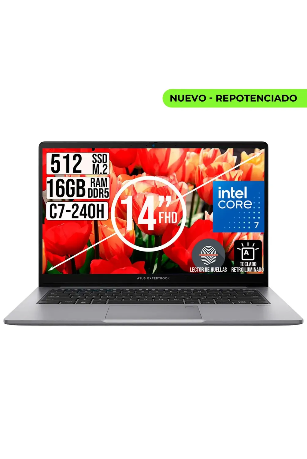 Portatil Asus Expertbook Intel Core 7-240H Ssd 512Gb Ram 16Gb 14
