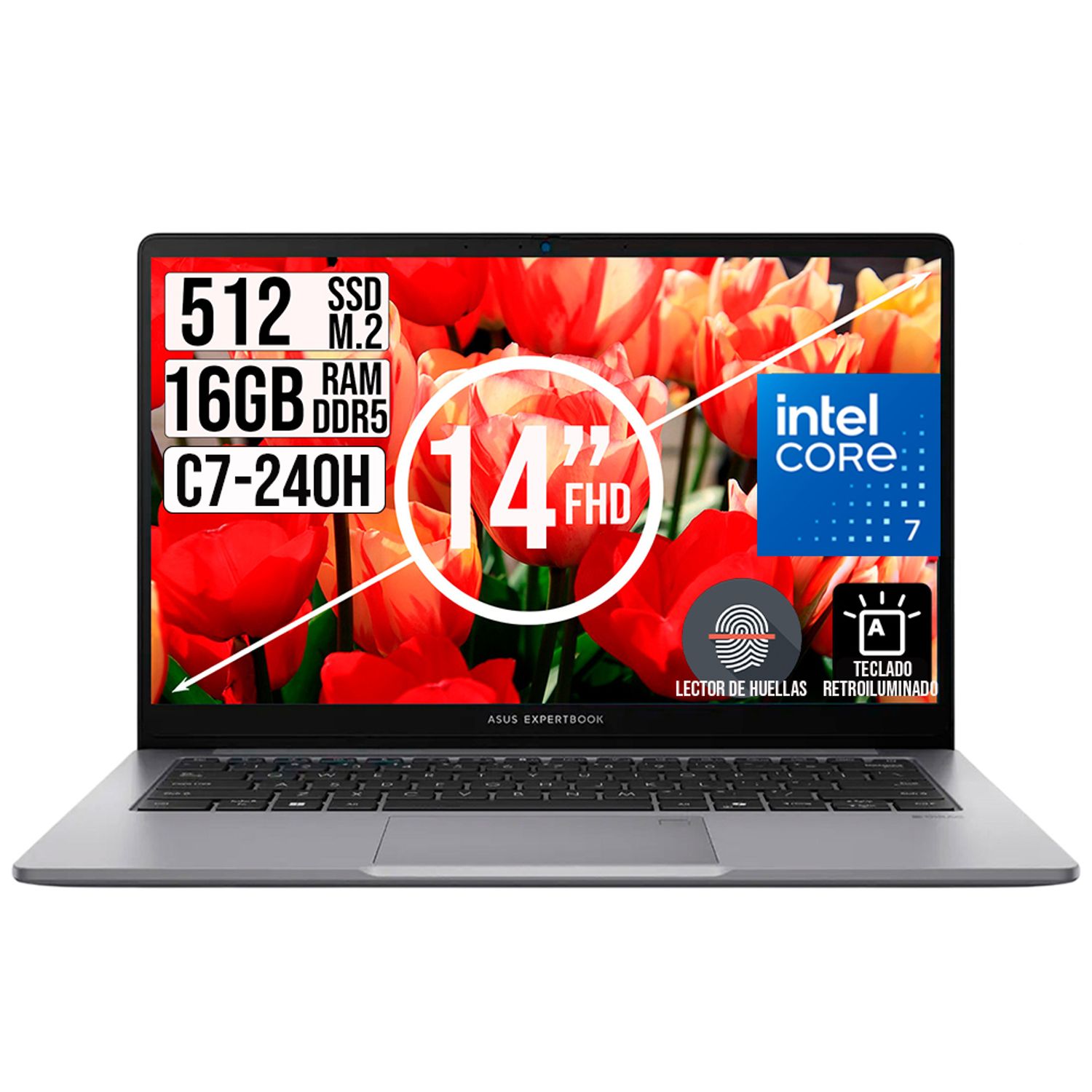 Portatil Asus Expertbook Intel Core 7-240H Ssd 512Gb Ram 16Gb 14