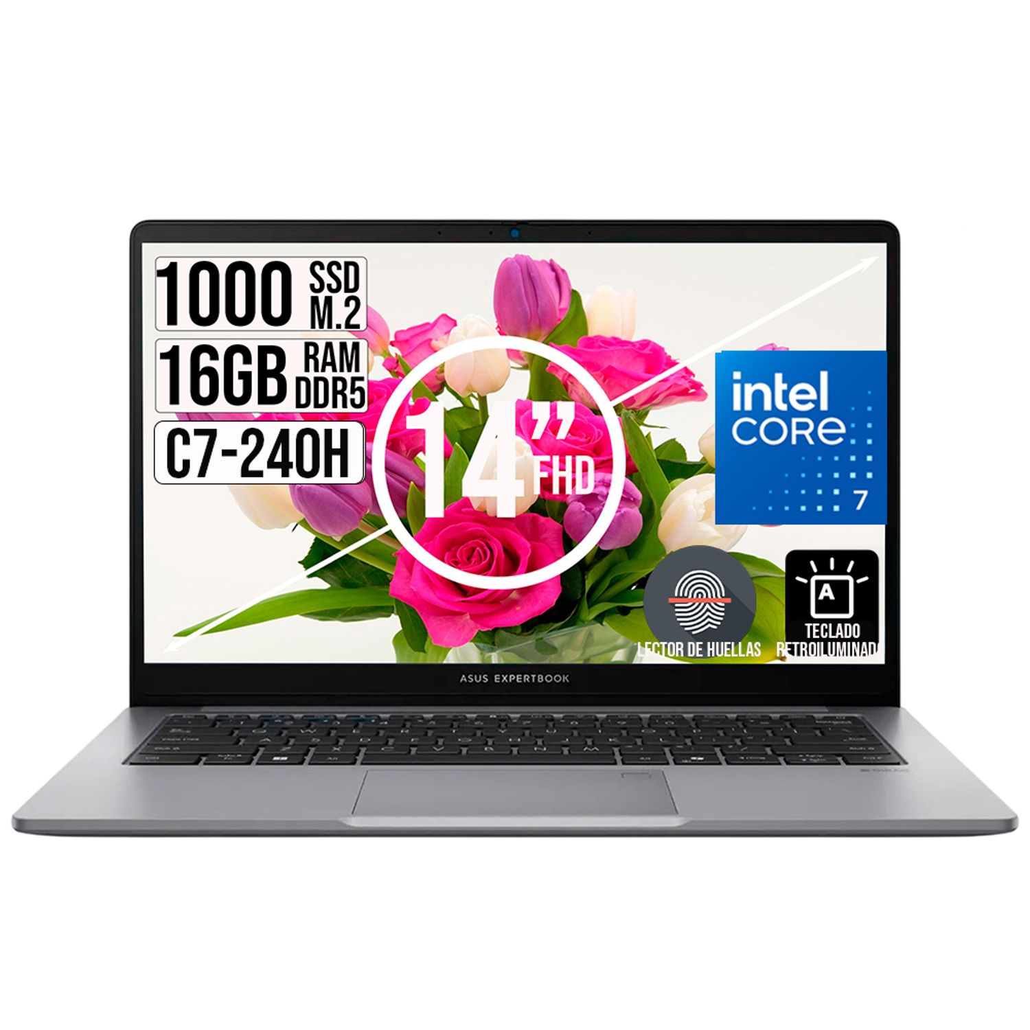 Portatil Asus Expertbook Intel Core 7-240H Ssd 1TB Ram 16Gb 14 fhd