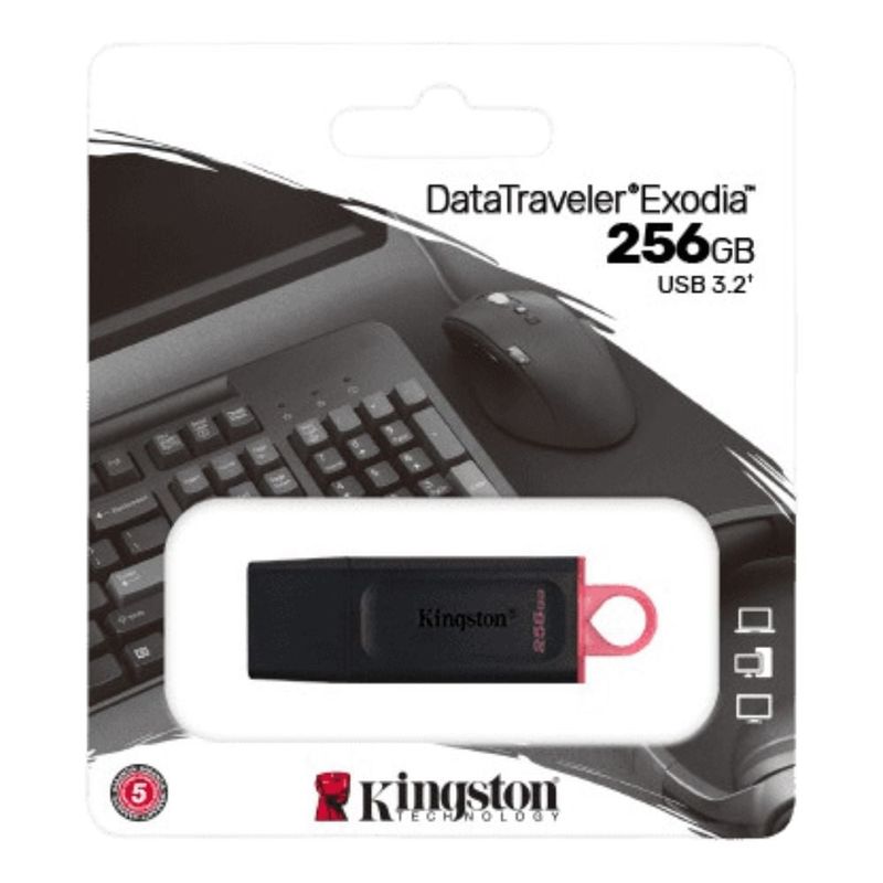 KINGSTON - Unidad flash Kingston DataTraveler Exodia DTX - 256GB - USB 3.2