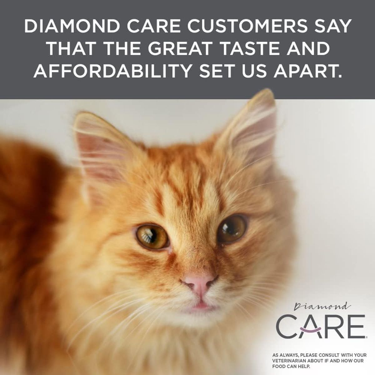 DIAMOND NATURALS - Diamond Care Urinary Adult Cat  6Lbs