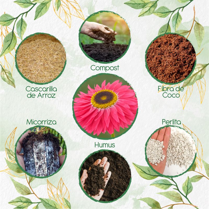 GENERICO - Kit De Acondicionadores De Suelos Para Flor Acrolinio Inmortal