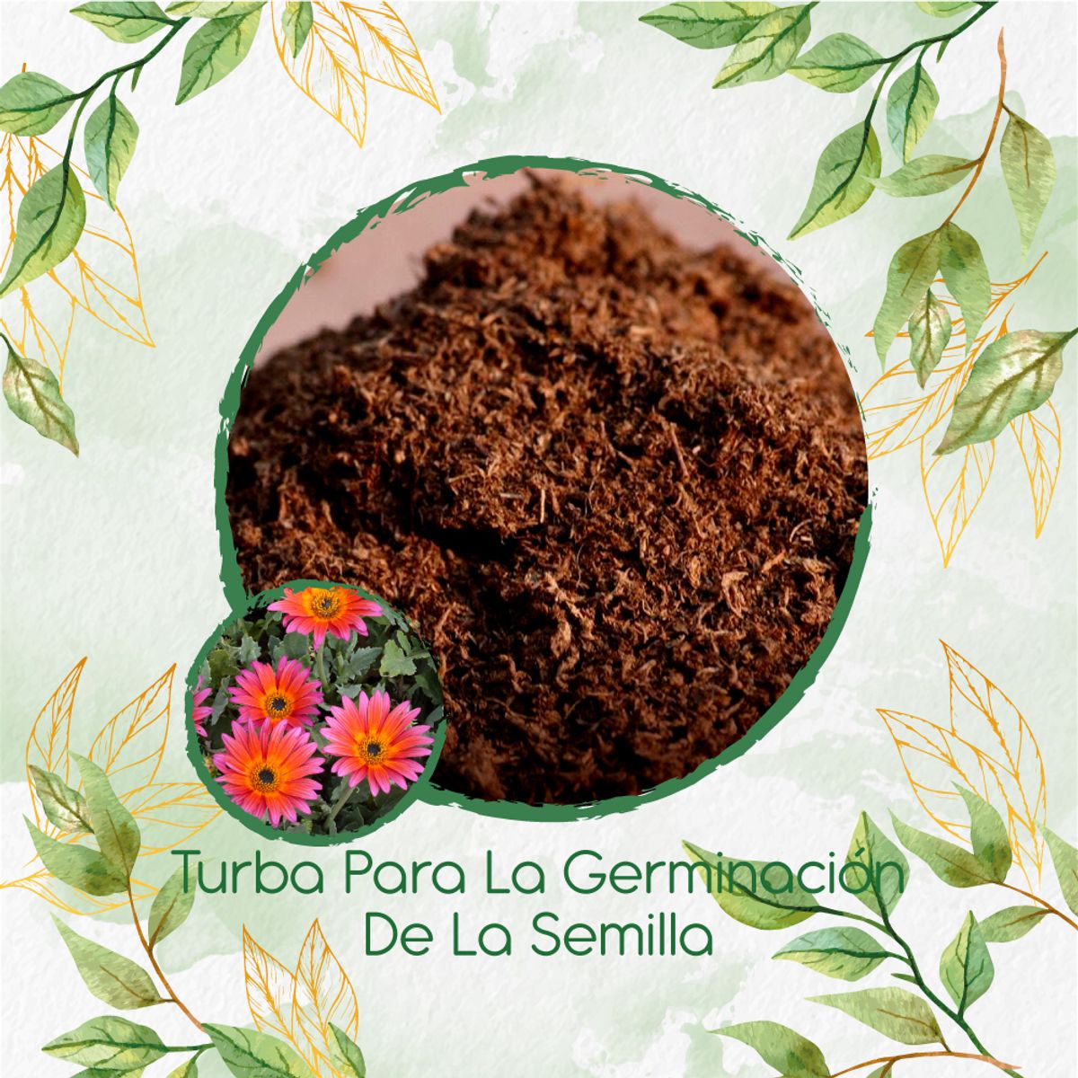 GENERICO - Turba Canadiense Especial Para Semillas De Flor Margarita Africana Mix