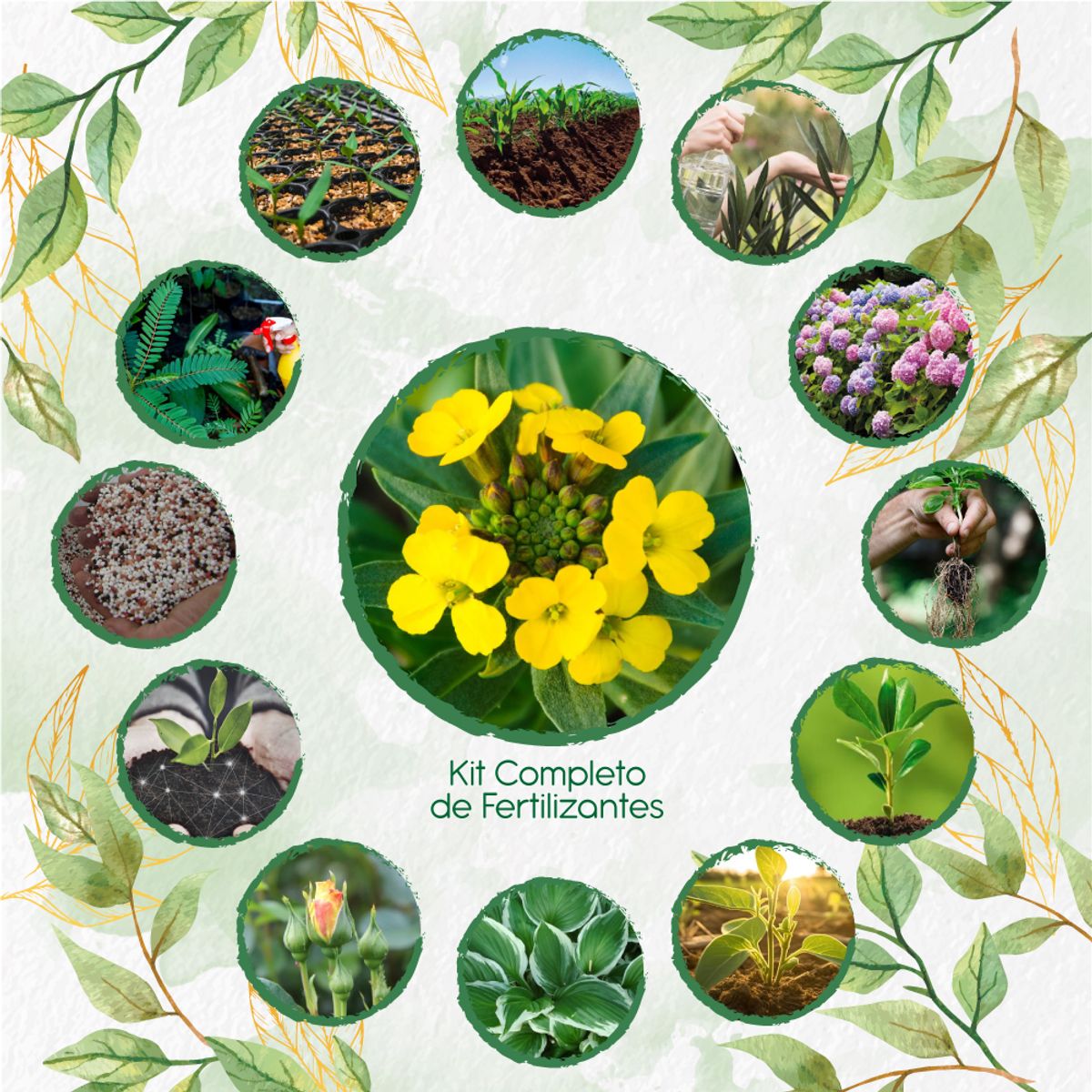 GENERICO - Kit Completo De Fertilizantes Para Flor Alheli Amarilla