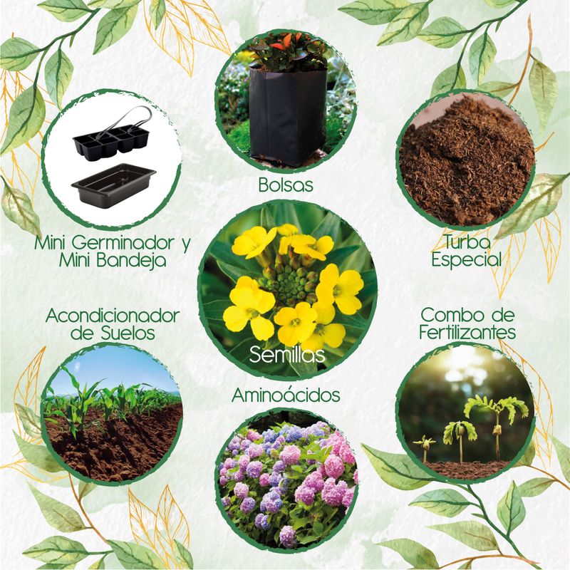 GENERICO - 100 Semillas Orgánicas De Flor Alheli Amarilla + Kit De Germinación