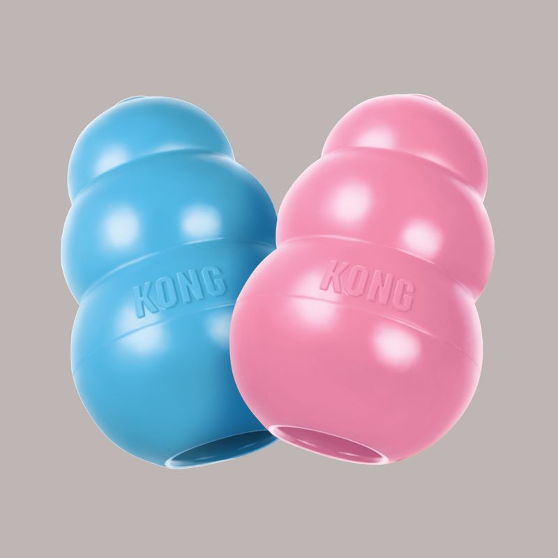 KONG COMPANY - KONG Puppy Portapasabocas Colores Surtidos talla L