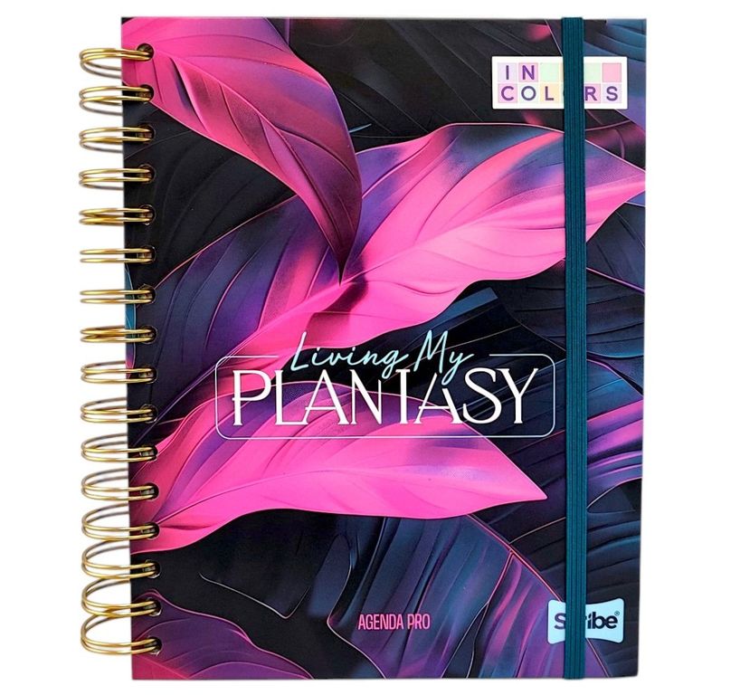Agenda Permanente Scribe Pro Argollada Gratis Colores X15 SCRIBE ...