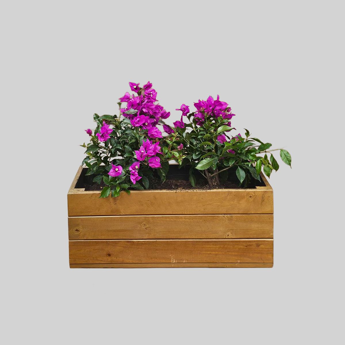 WOODMADE - Matera en Madera Inmunizada