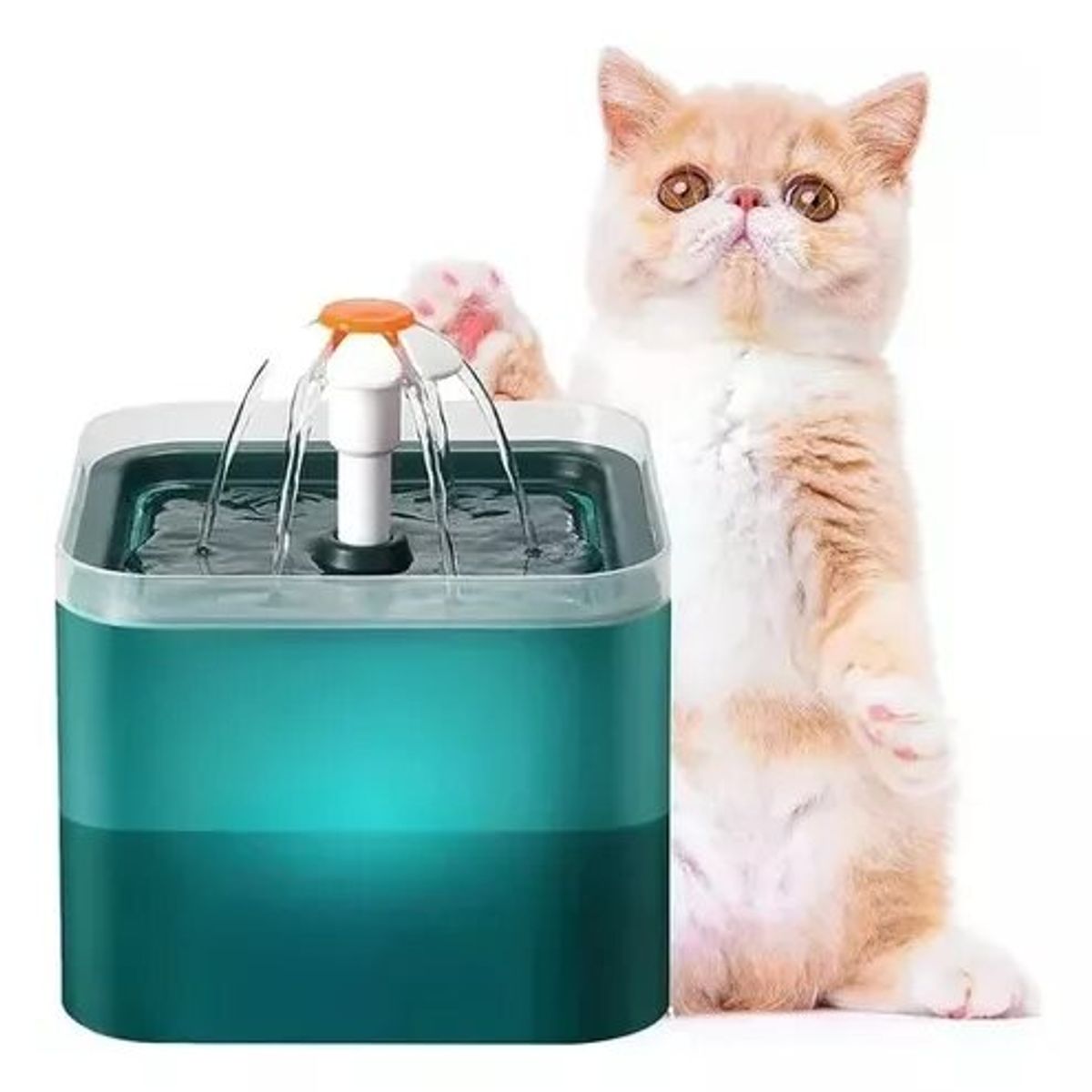 PETS ACCESORIOS - Fuente Agua Gato Led Verde
