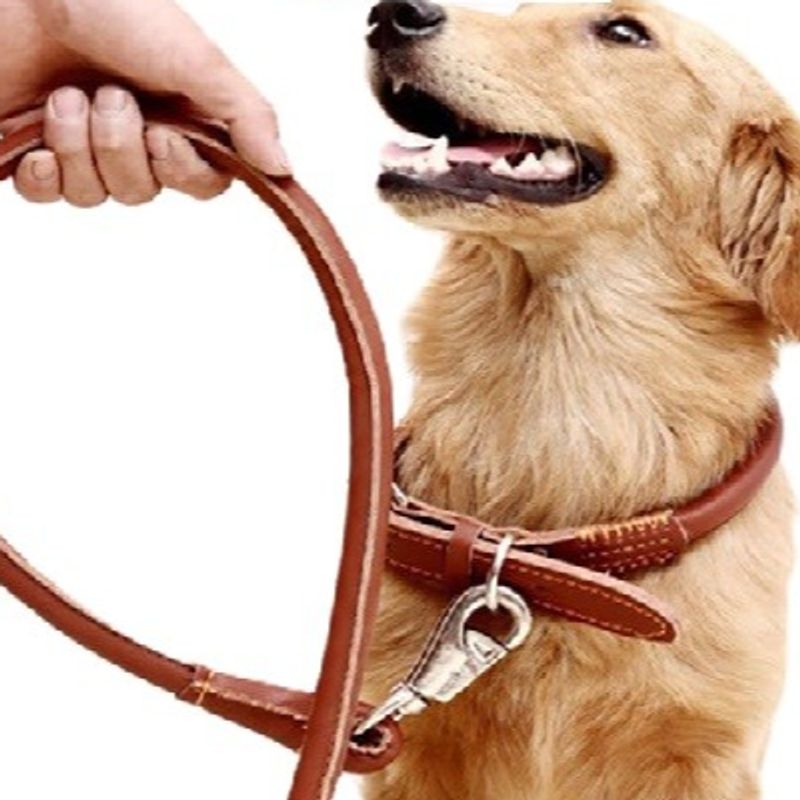 GENERICO - ARNES CORREA CON COLLAR PARA PERRO GRANDE CUERO LARGO LUJO