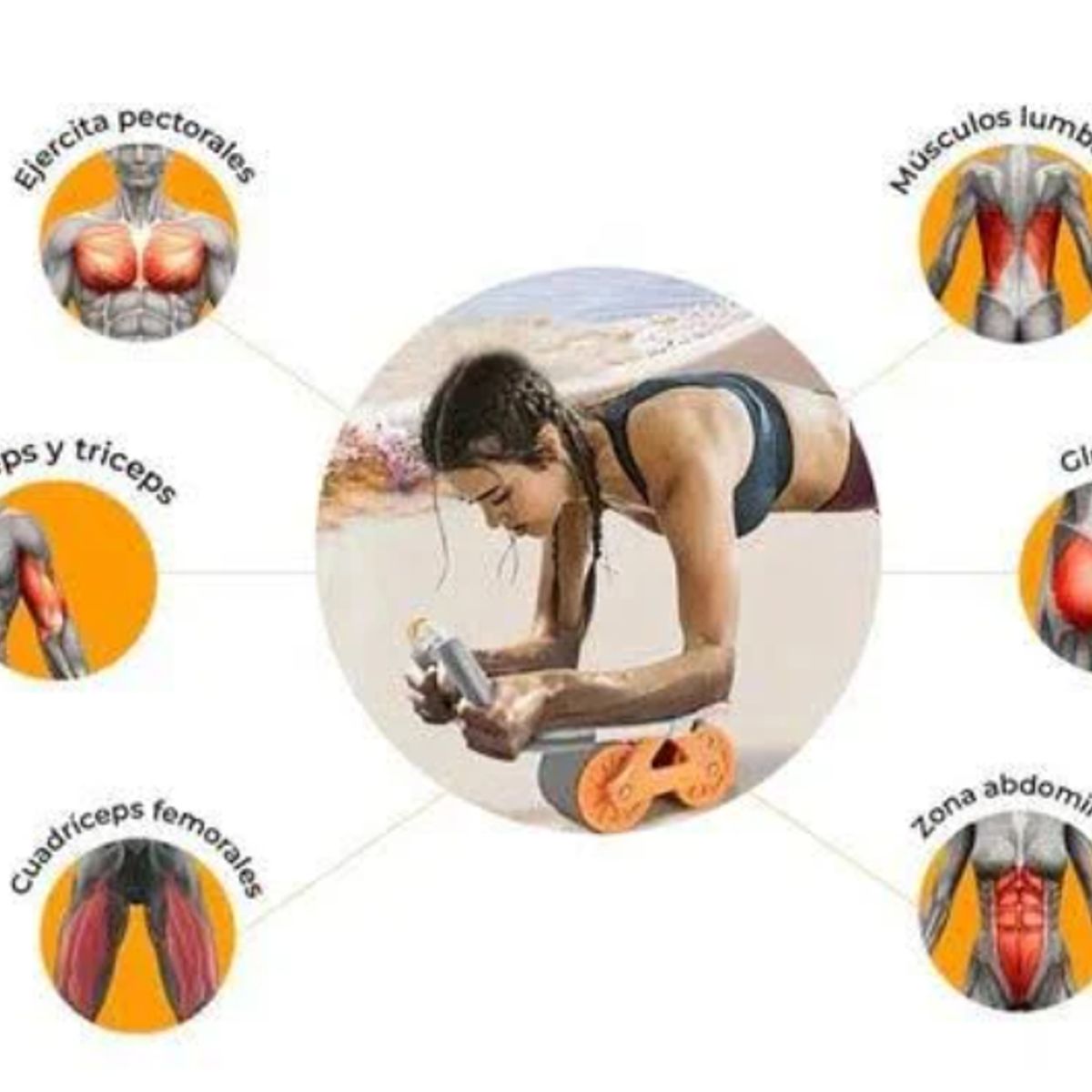 GENERICO - Rueda Abdominal Rebote Automático Con Temporizador