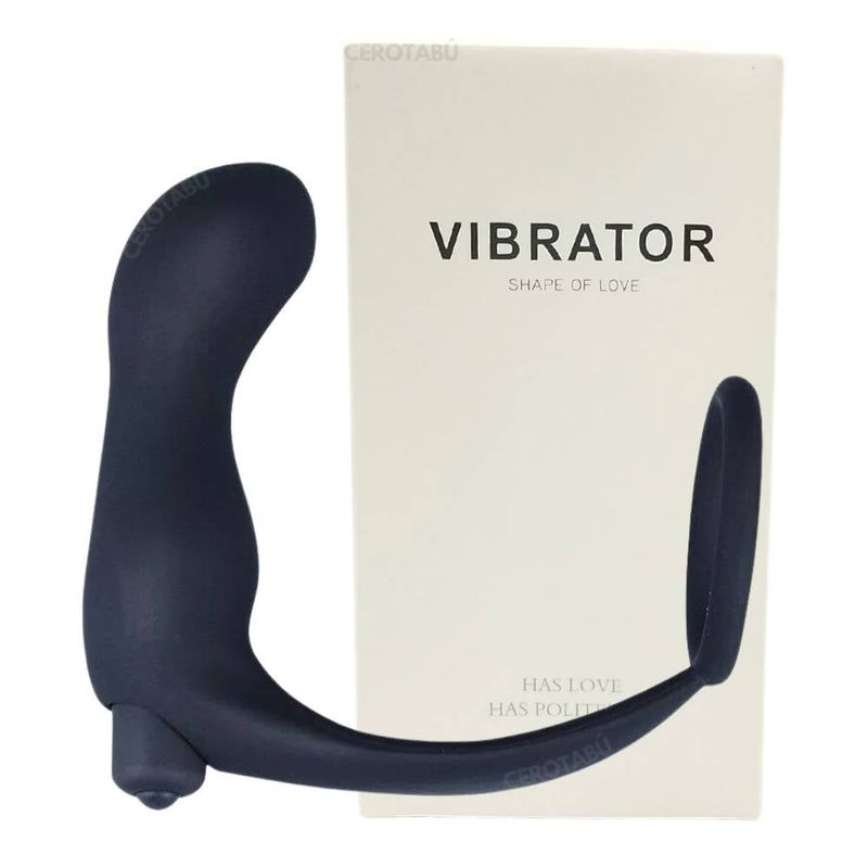 GENERICO - Masajeador Prostático Plug Anal Vibrador Con Anillo Retardante