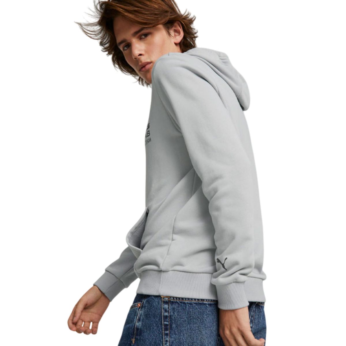 PUMA - Hoodie Puma Mercedes Amg Petronas Motorsport F1 Hombre-Gris