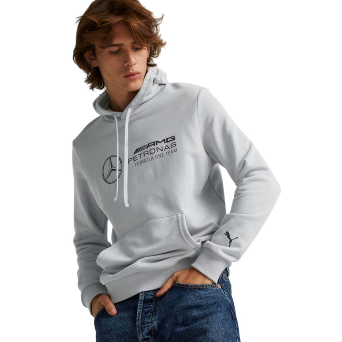 PUMA - Hoodie Puma Mercedes Amg Petronas Motorsport F1 Hombre-Gris