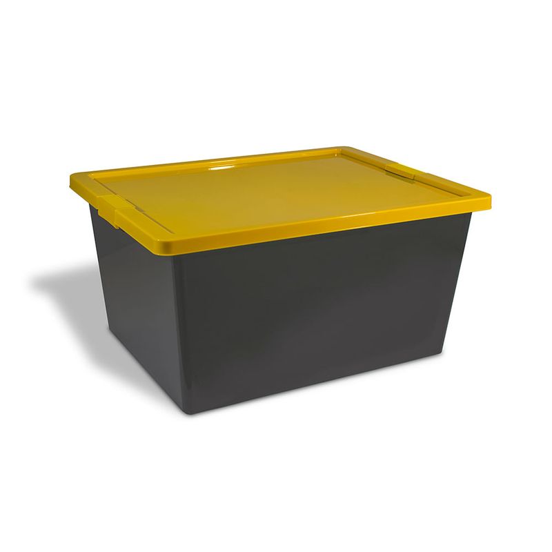 ESTRA - Caja Organizadora Con Broches Forte 55L Gris-Amarillo