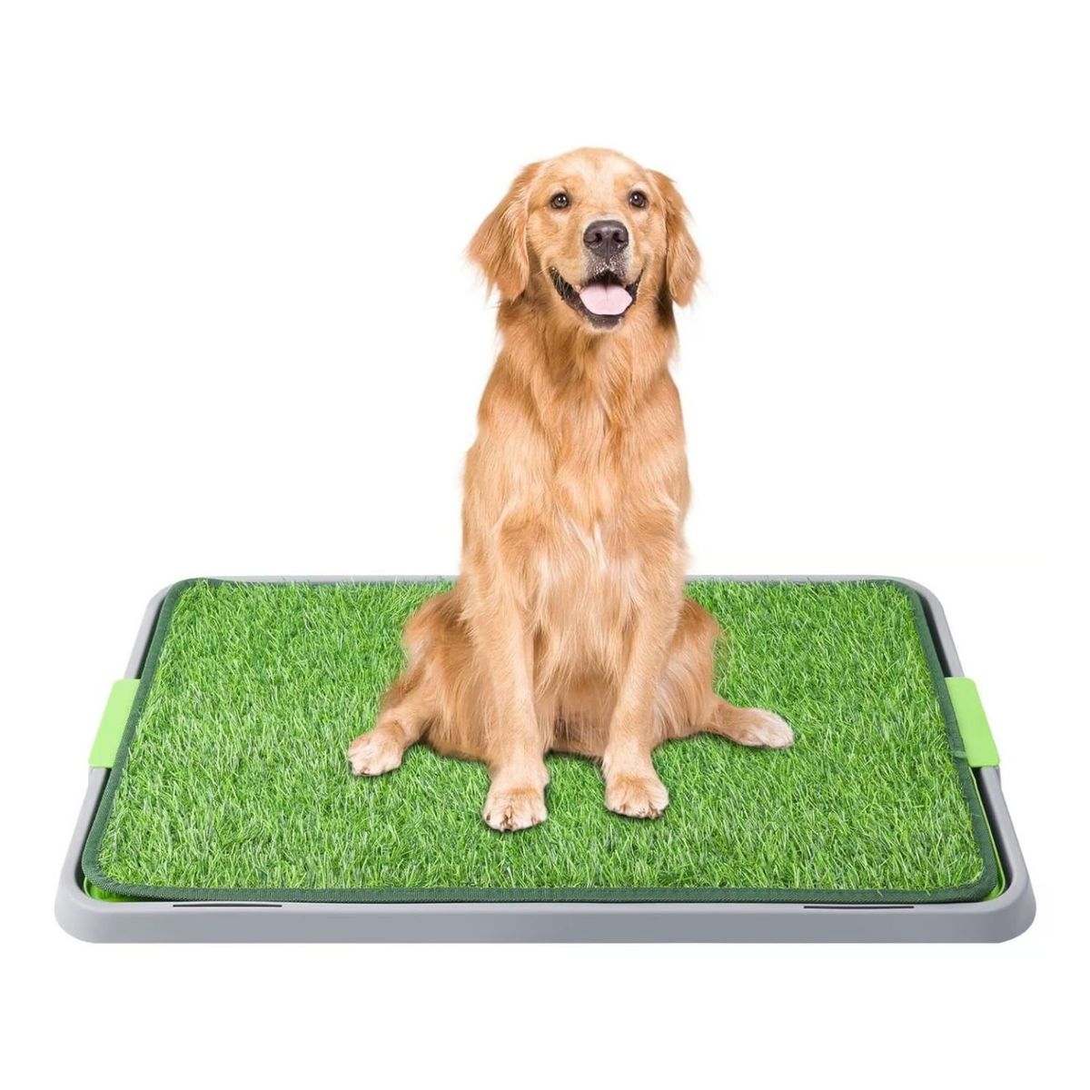 GENERICO - Tapete Entrenamiento De Perros Tapete Grande