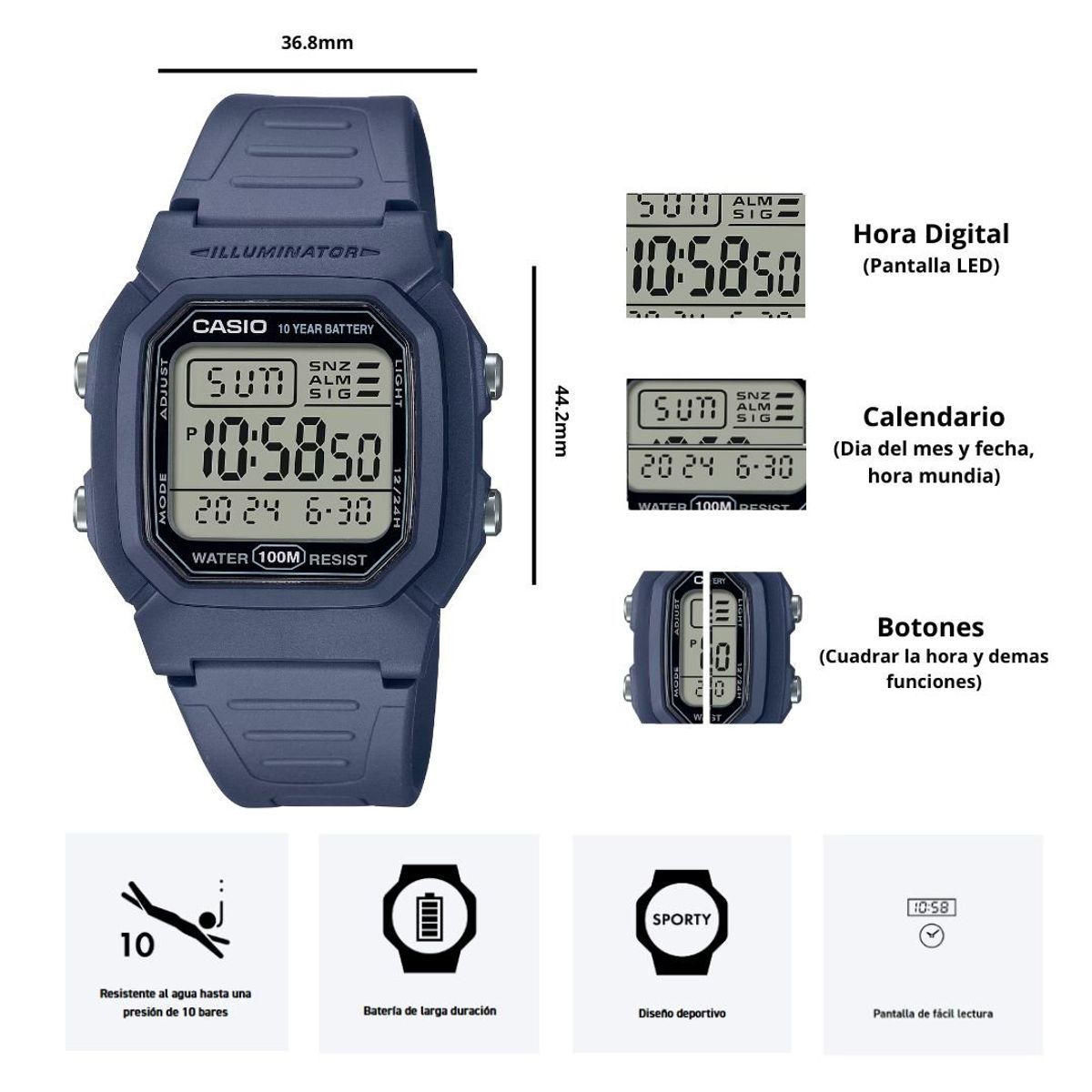 CASIO - Reloj Casio Referencia W-800H-2A Diseño Deportivo