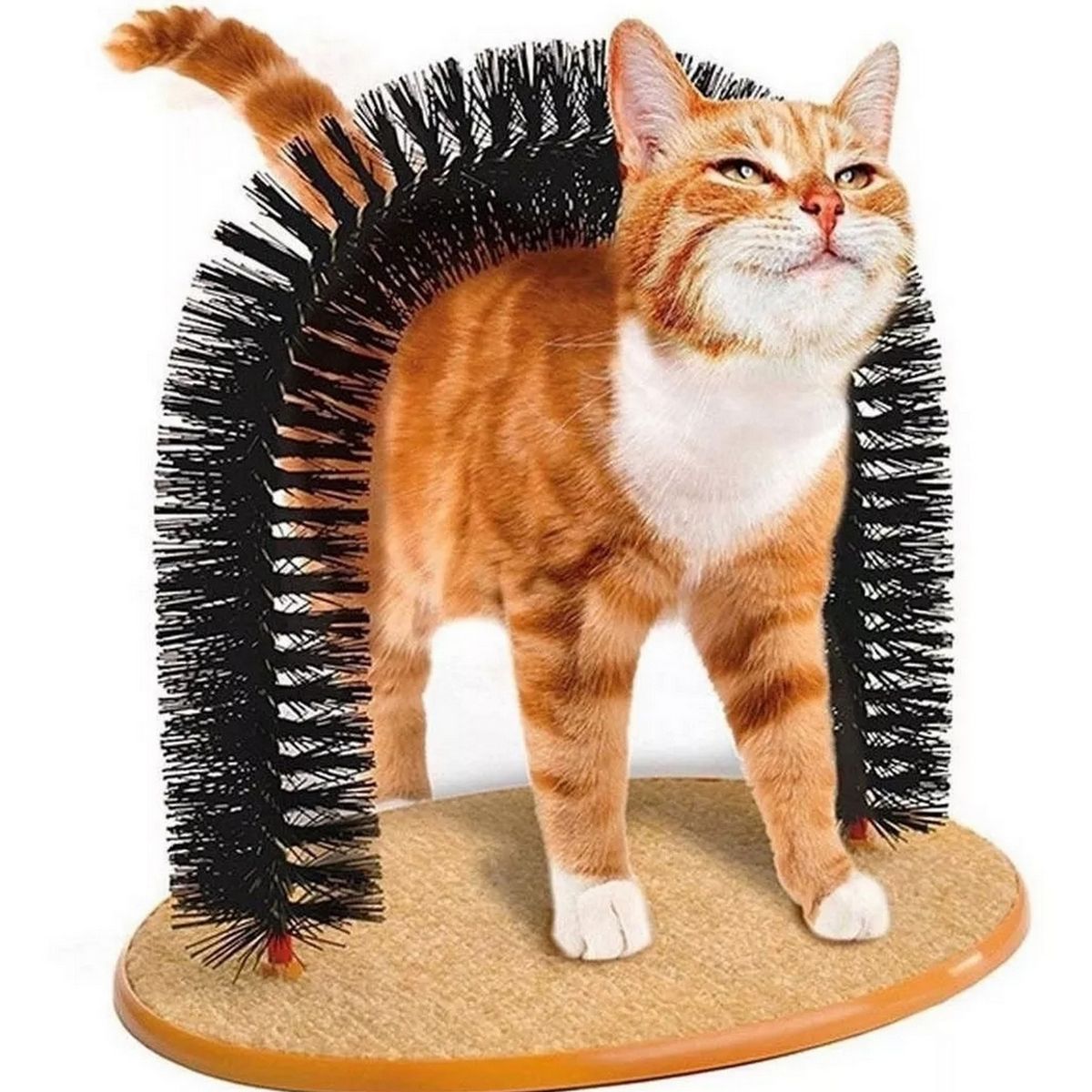 DAYOSHOP - Rascador Para Gato Masajeador Cepillo Gatos Rascador En Arco