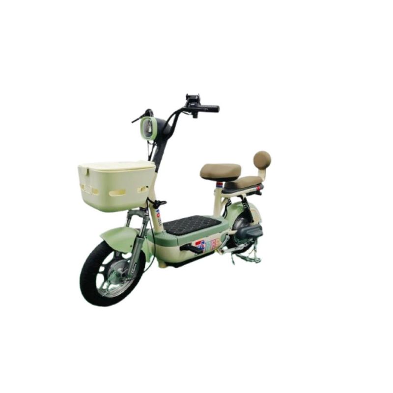 ZHOPI CO - Bicicleta Electrica 500 W Classic