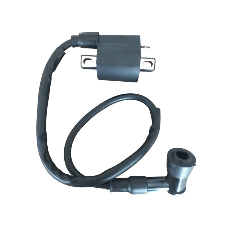 GENERICO - BOBINA DE ALTA PARA MOTOS AKT125SL/NKD 12V C/ CAPUCHON BUJIA 