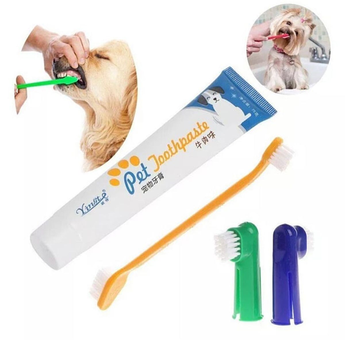 CATLIKE - Crema Dental Con Sabor A Carne + 3 Kit Cepillos De Dientes