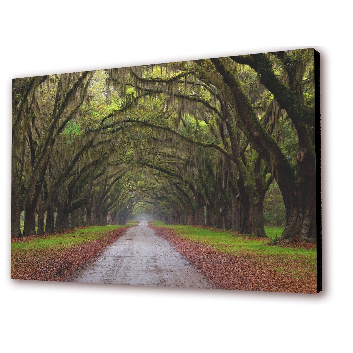ART INDUSTRY - Cuadro 50x30cms Decorativo Camino