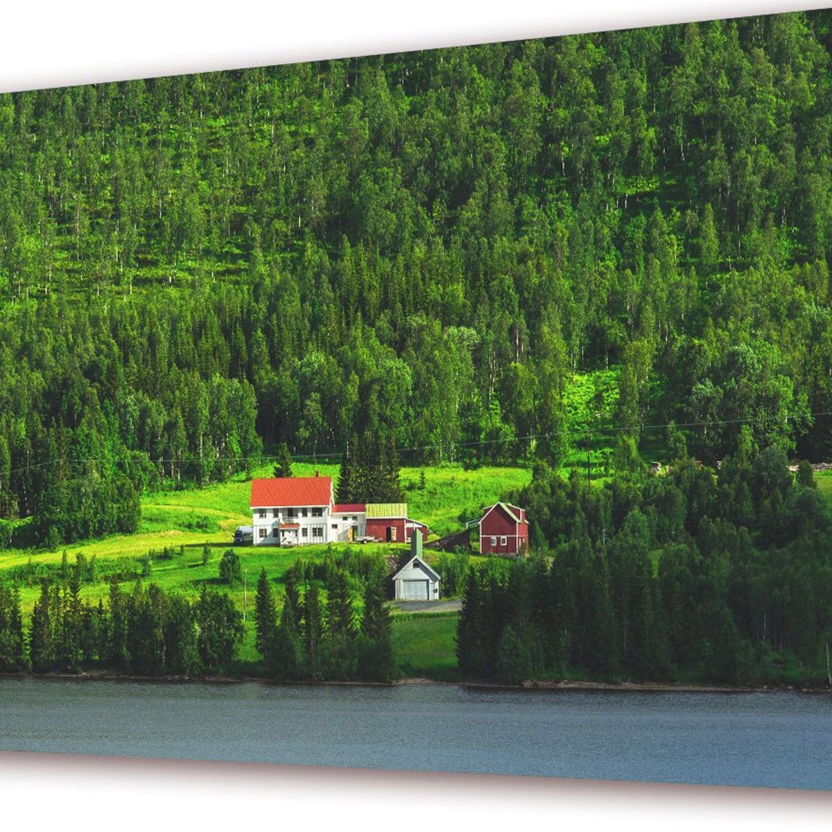 ART INDUSTRY - Cuadro 50x30cms Decorativo Bosque Granja