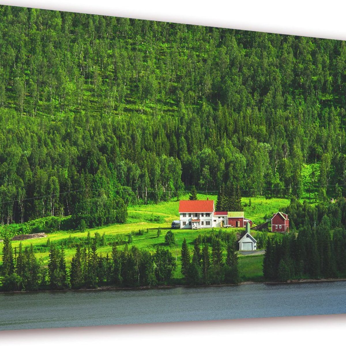 ART INDUSTRY - Cuadro 50x30cms Decorativo Bosque Granja