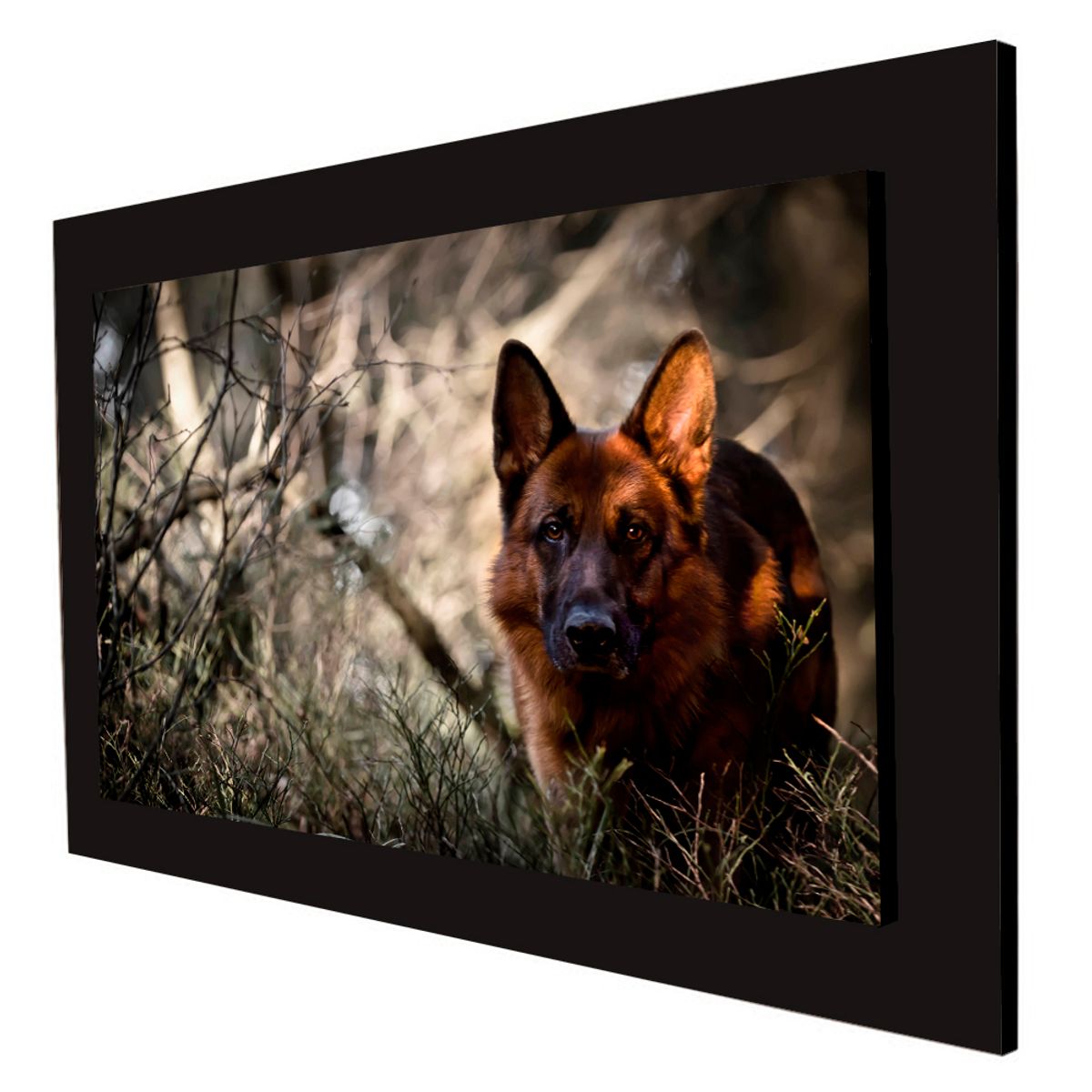 ART INDUSTRY - Cuadro 60x40cms Decorativo Perro 2