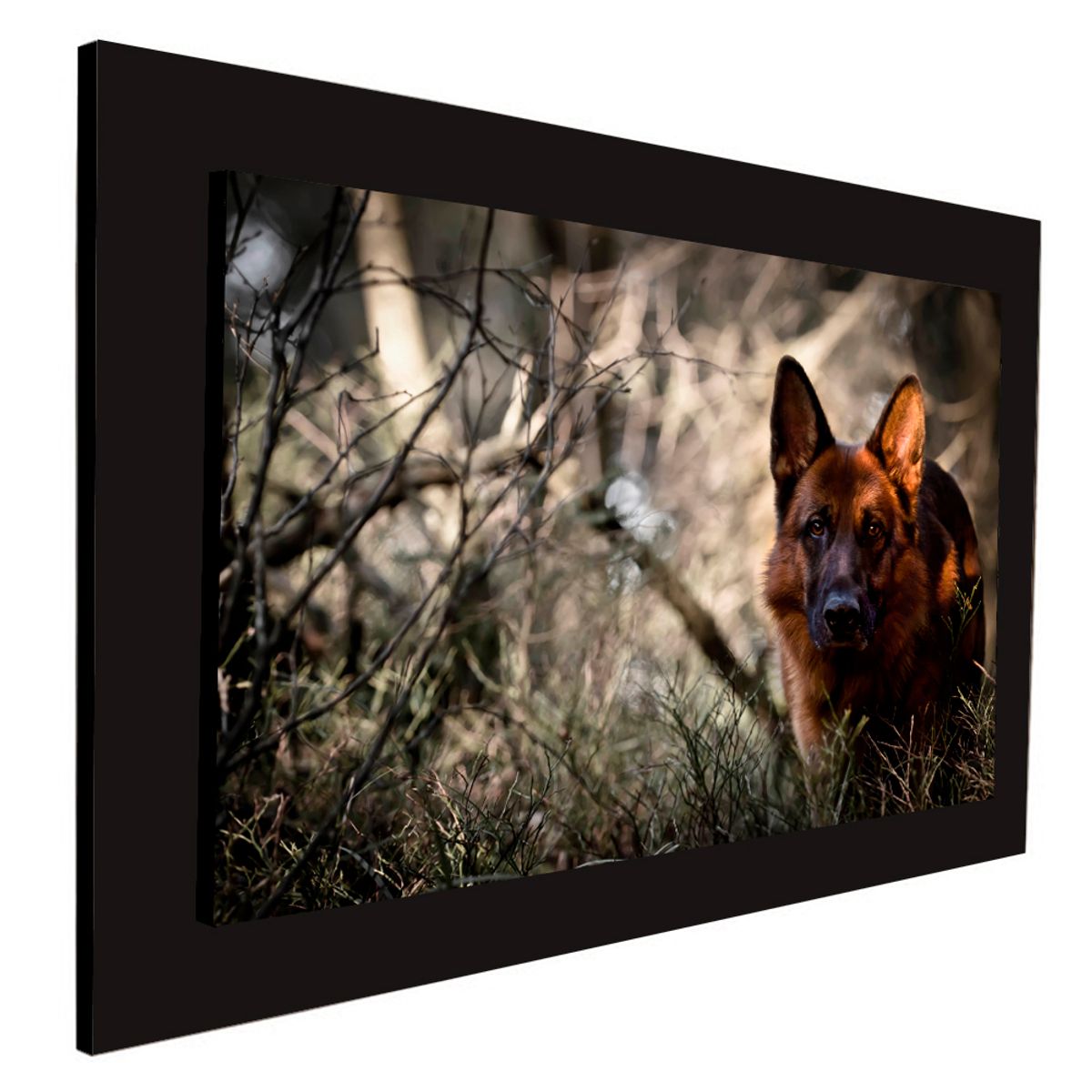 ART INDUSTRY - Cuadro 60x40cms Decorativo Perro 2