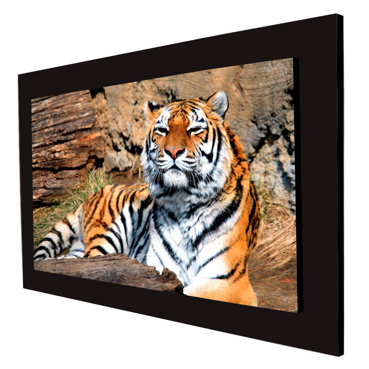 ART INDUSTRY - Cuadro 60x40cms Decorativo Tigre 3
