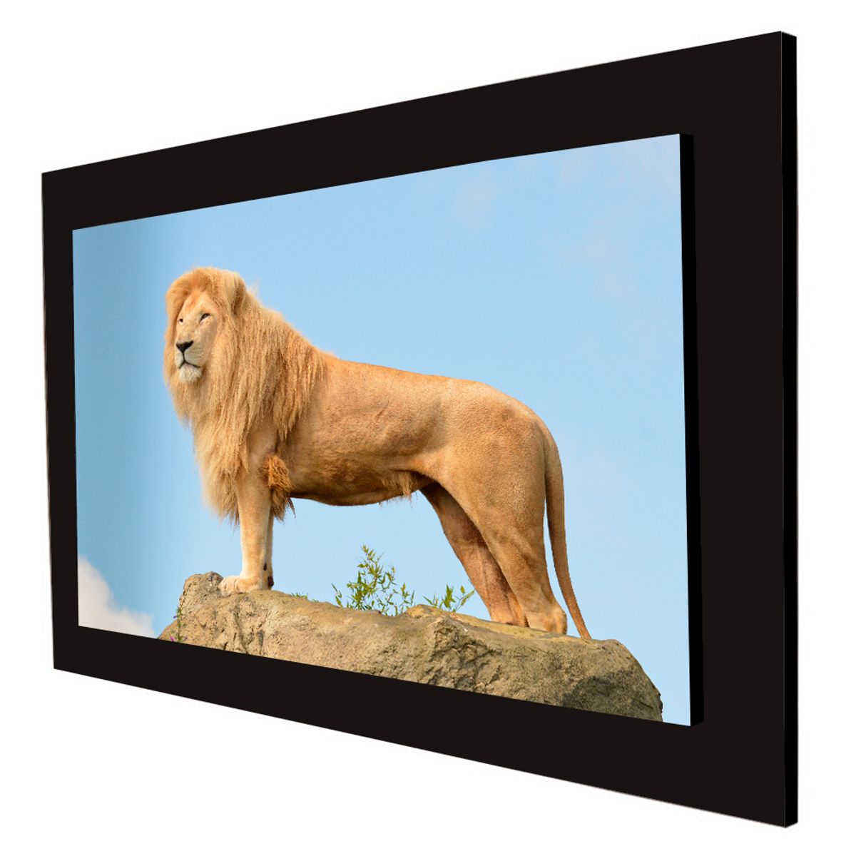 ART INDUSTRY - Cuadro 60x40cms Decorativo Leon 2