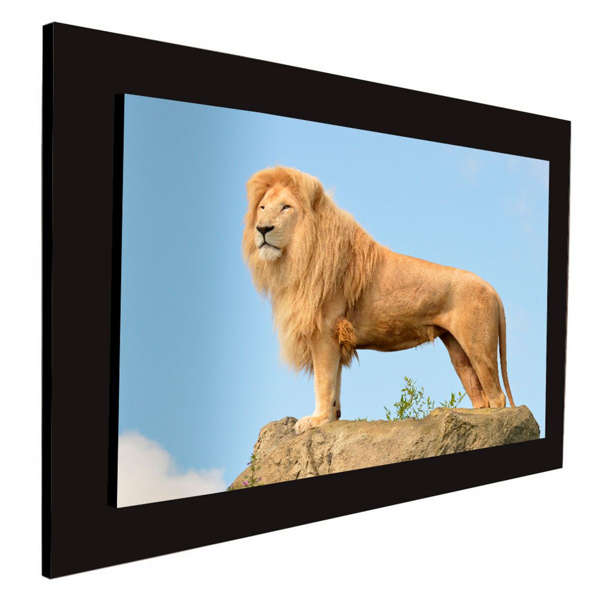 ART INDUSTRY - Cuadro 60x40cms Decorativo Leon 2