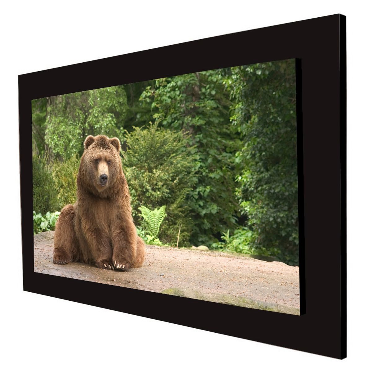 ART INDUSTRY - Cuadro 60x40cms Decorativo Oso 4