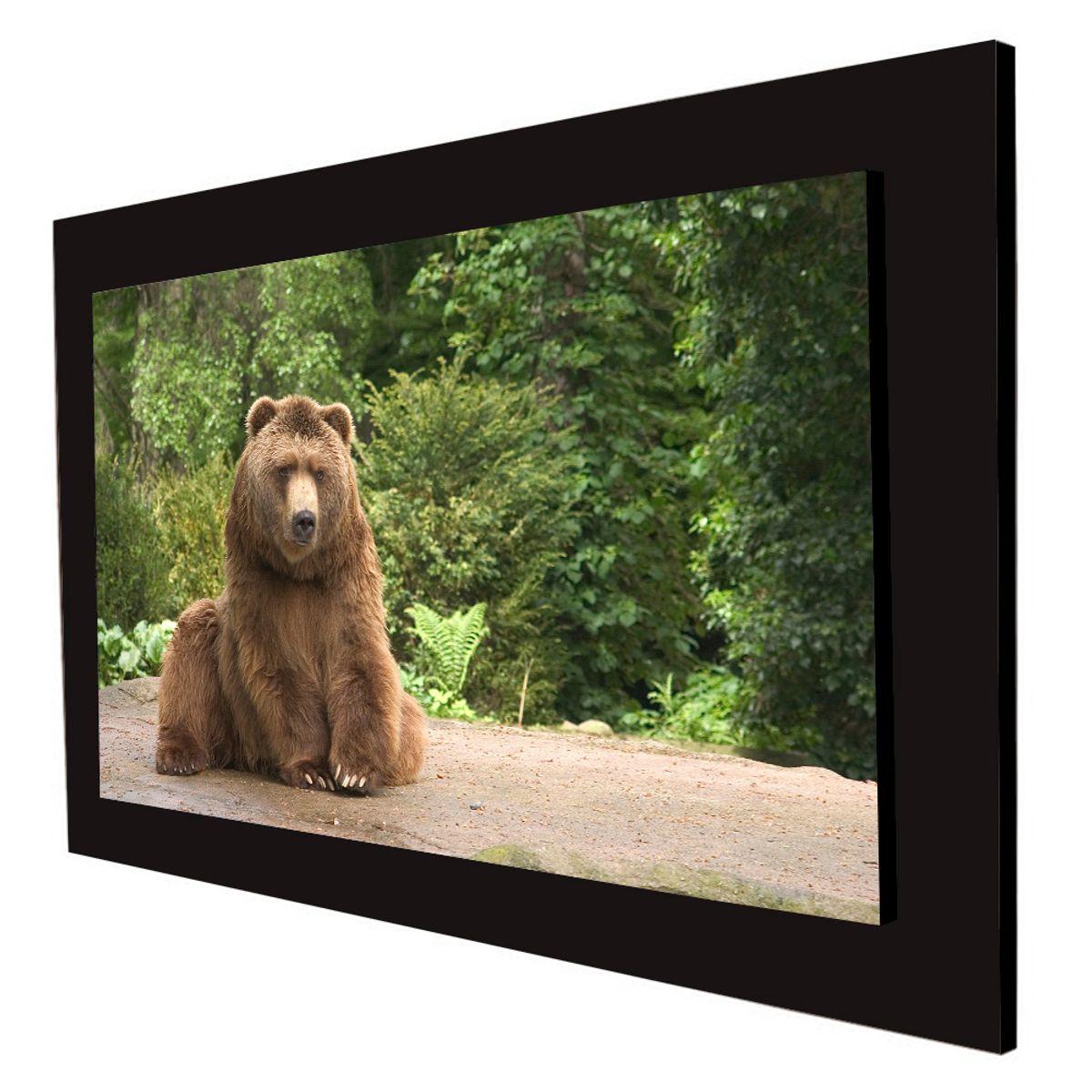 ART INDUSTRY - Cuadro 60x40cms Decorativo Oso 4