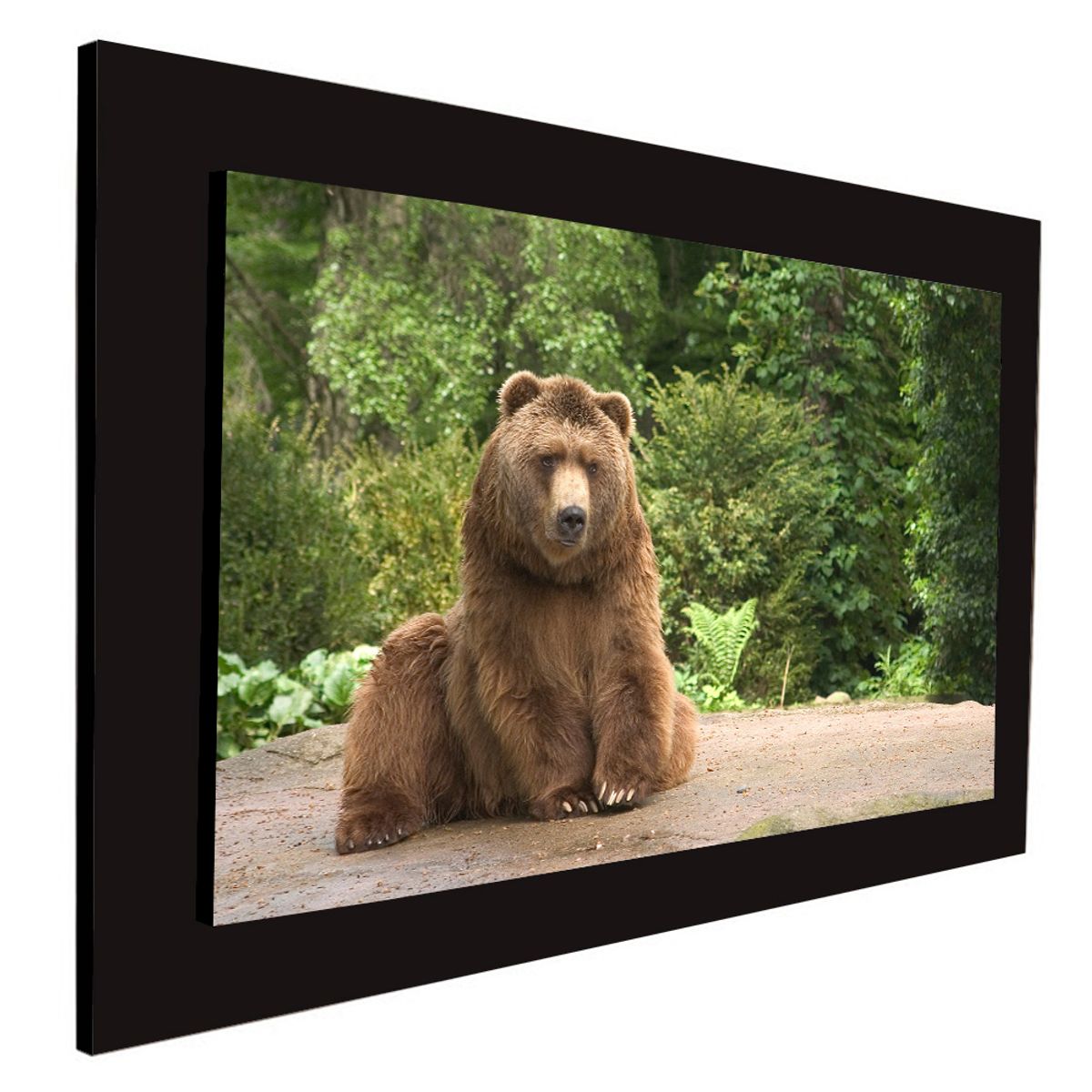 ART INDUSTRY - Cuadro 60x40cms Decorativo Oso 4