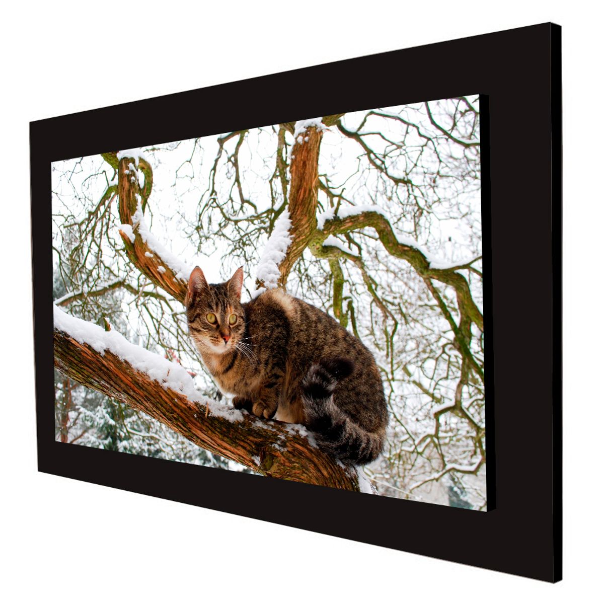 ART INDUSTRY - Cuadro 60x40cms Decorativo Gato 1