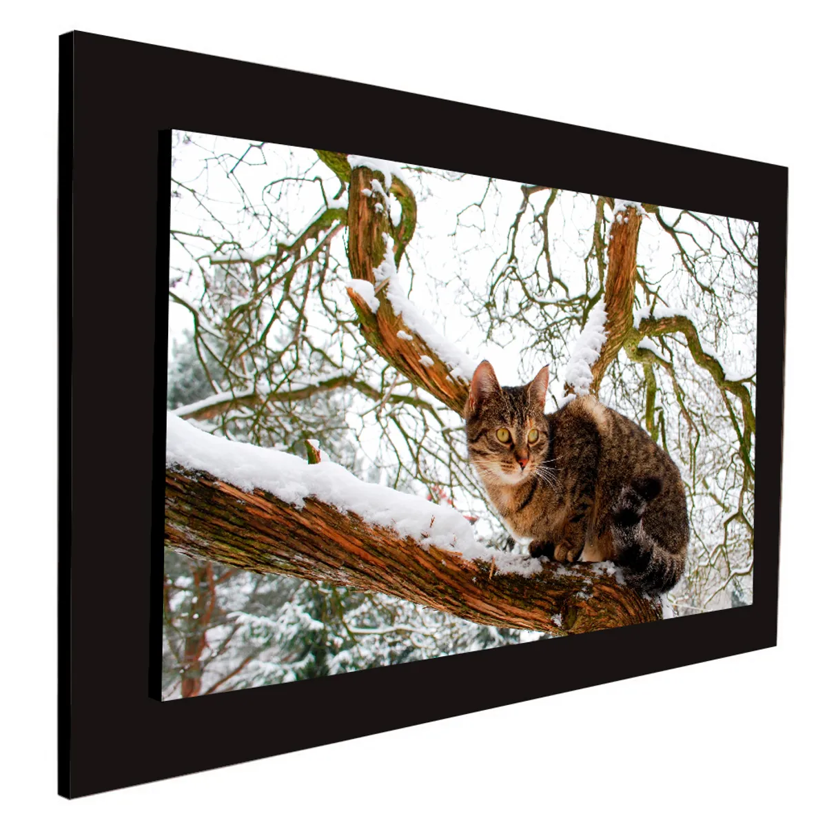 ART INDUSTRY - Cuadro 60x40cms Decorativo Gato 1