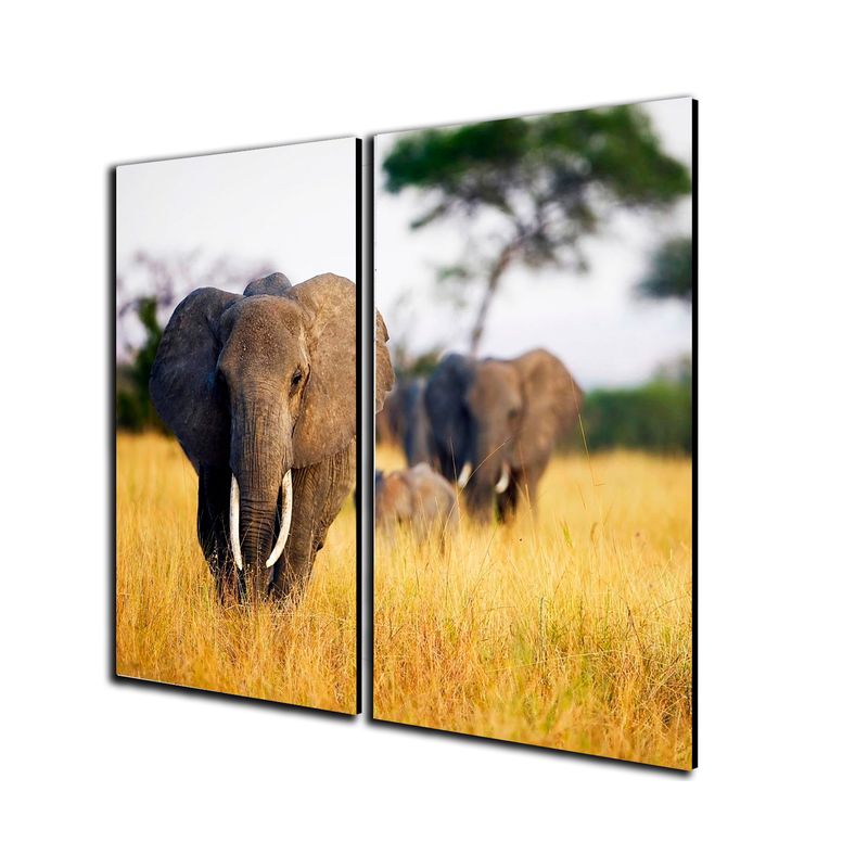 ART INDUSTRY - Diptico 60x50 Cms Dcorativo Elefante