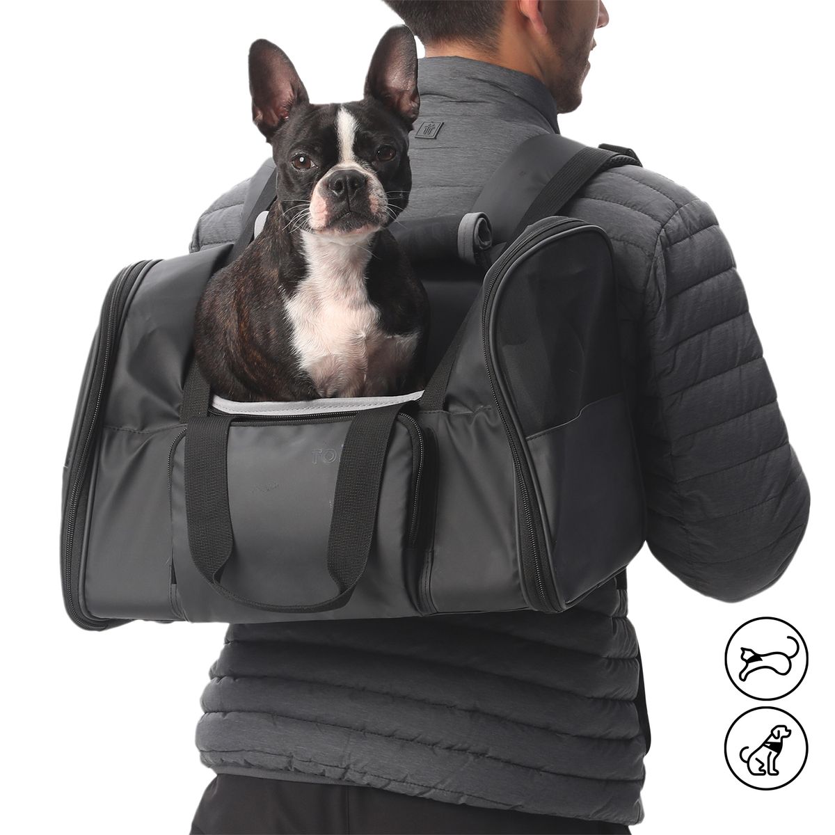 TOTTO - Cargador para mascota Rocco Negro