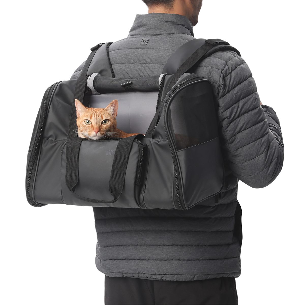 TOTTO - Cargador para mascota Rocco Negro