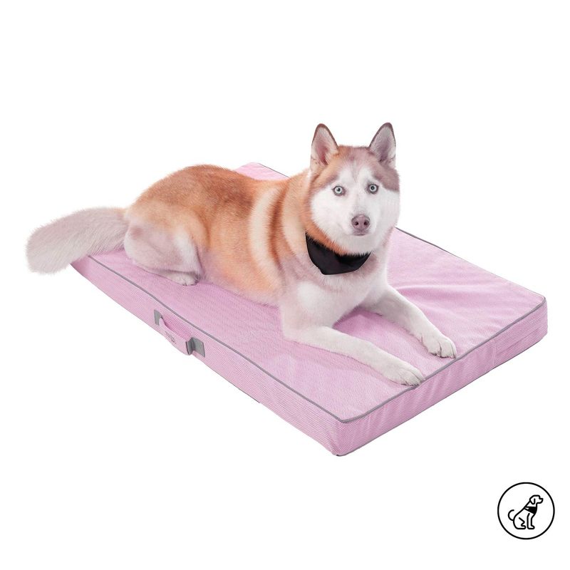 TOTTO - Cama para Perro Danko L Morada