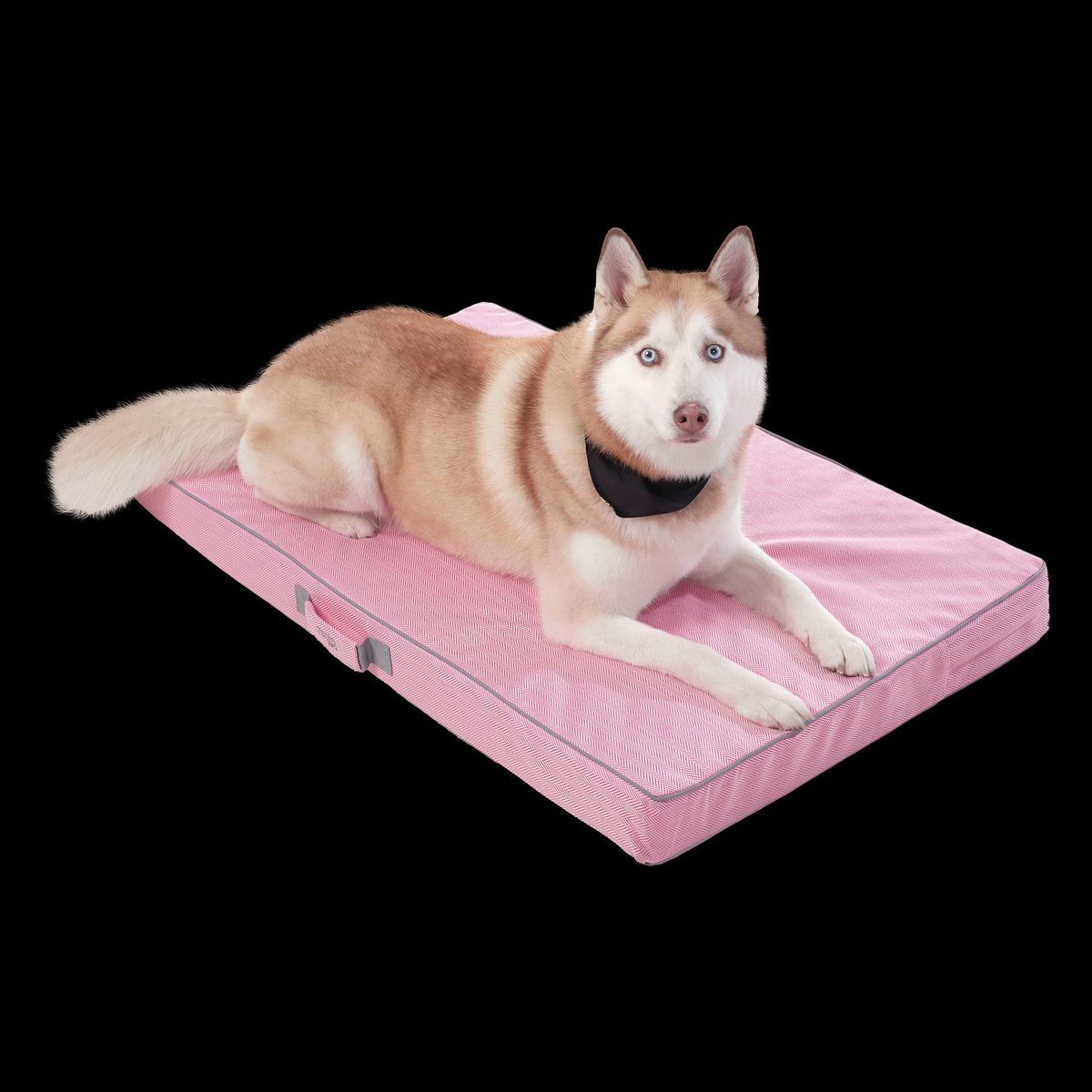 TOTTO - Cama Danko Para Mascota
