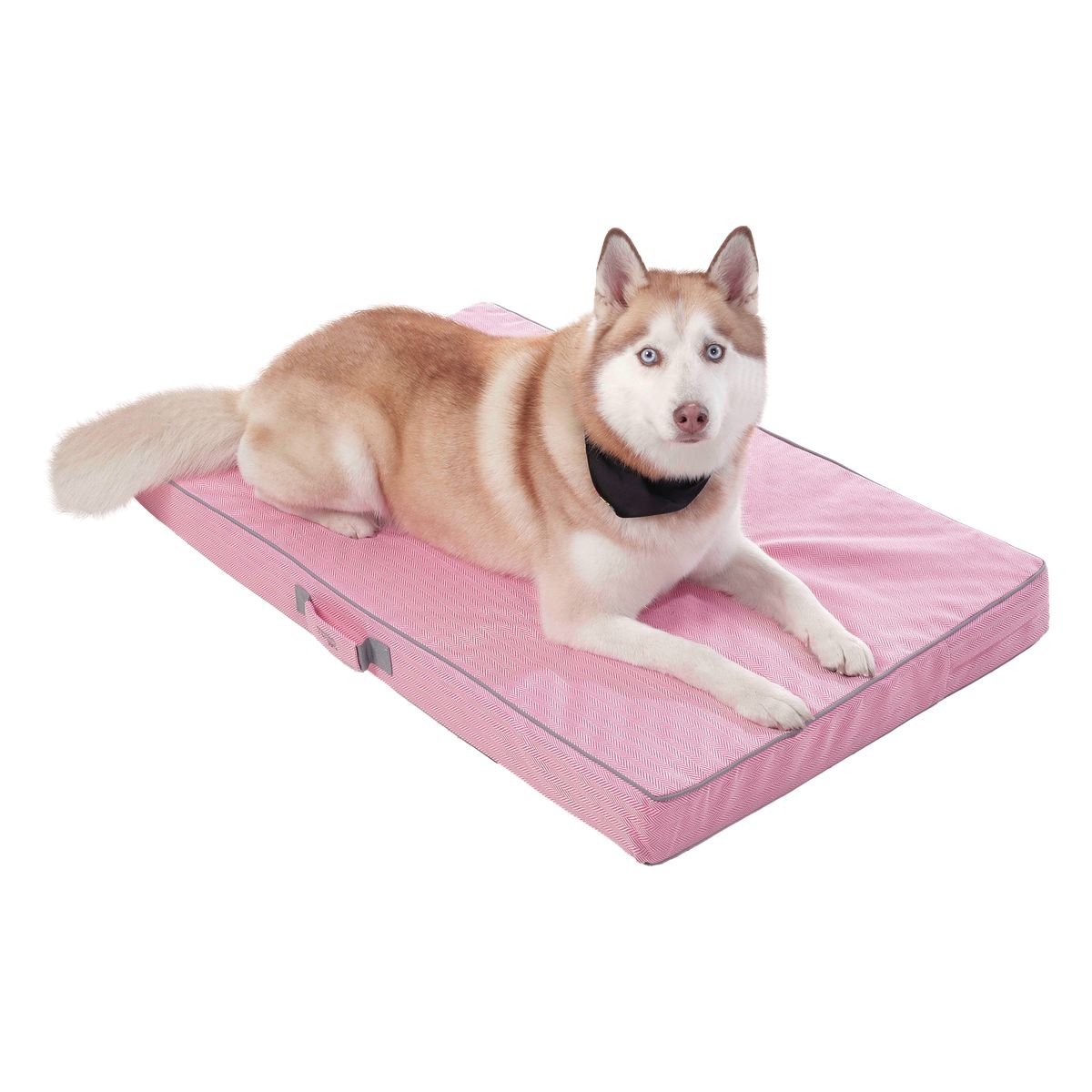 TOTTO - Cama Danko Para Mascota