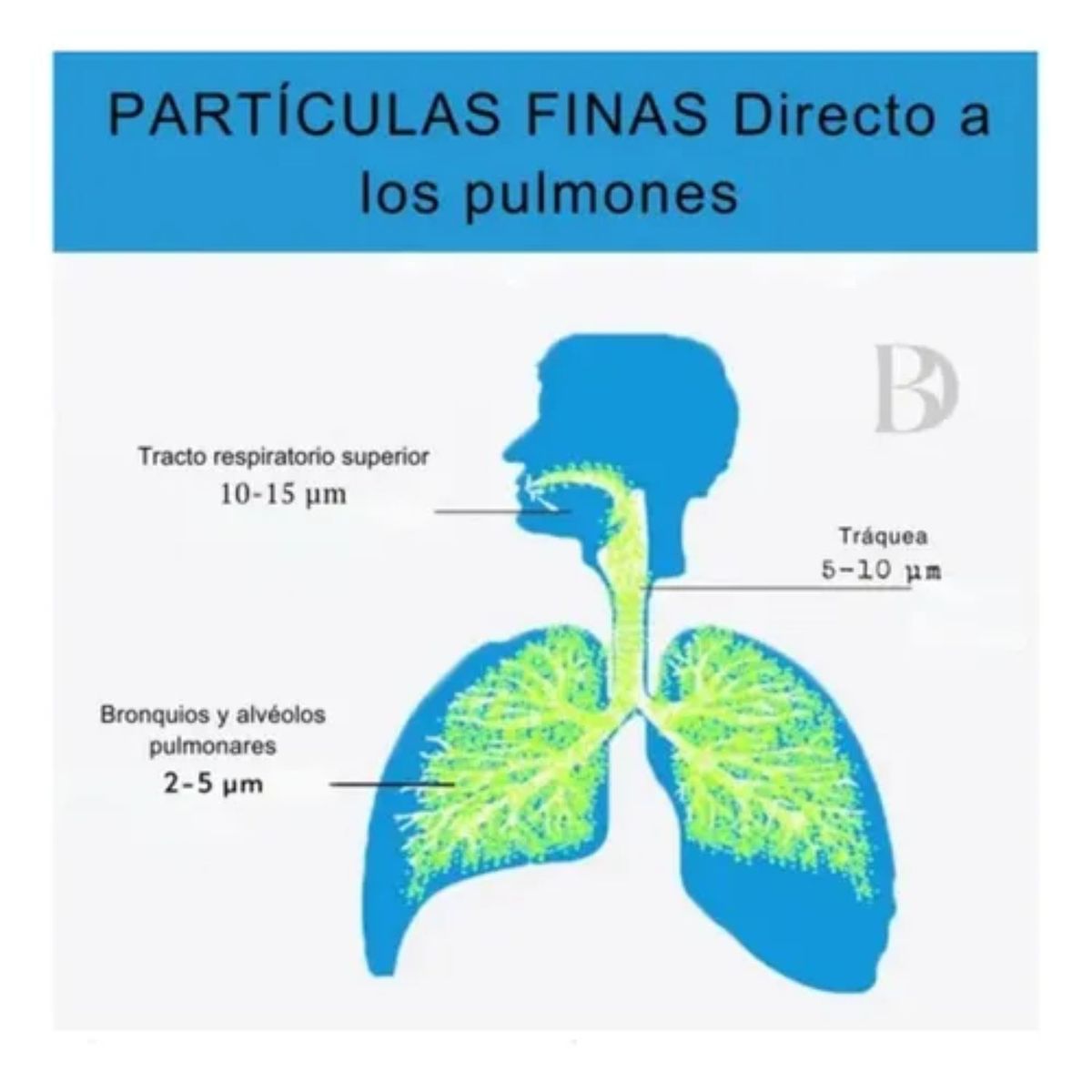 TELEPRODUCTOSBOGOTA - Nebulizador Portatil Adultos Niños