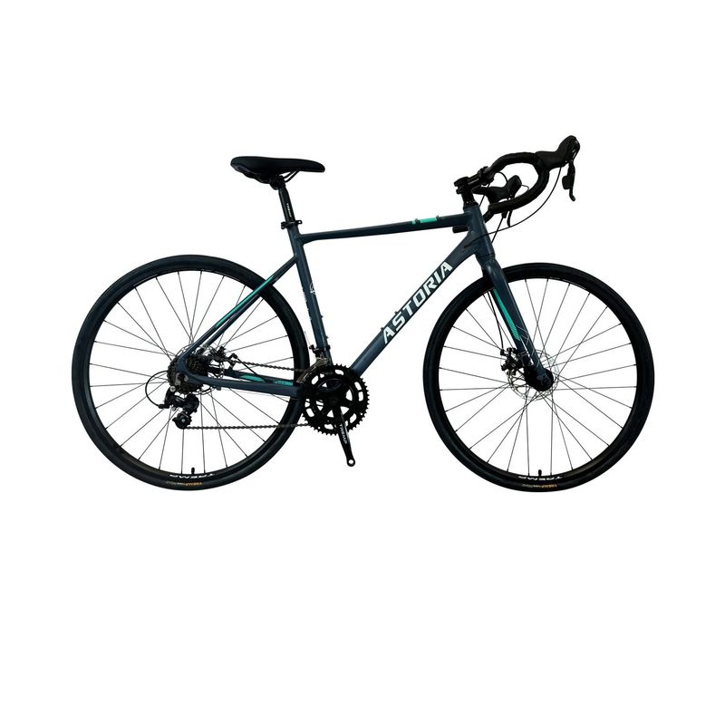 PROFIT - Bicicleta Profit Astoria Rin 700 16 Velocidades gris