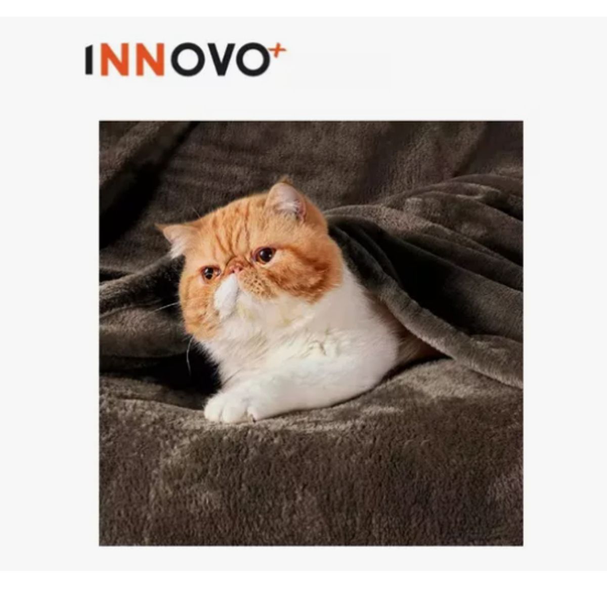 INNOVA - Cobija Manta Térmica Suave Piel Durazno 180 X 240 Cafe Liviana