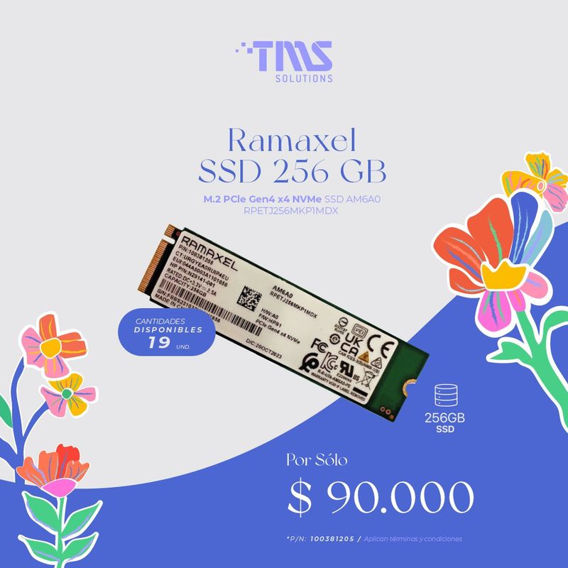 GENERICO - Ramaxel SSD 256GB M2 PCIe Gen4 x4 NVMe SSD AM6A0 RPETJ256MKP1MDX